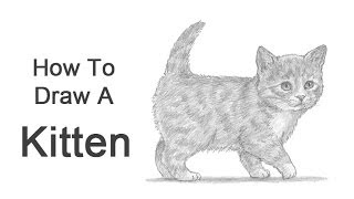 How to Draw a Kitten [upl. by Vanda]