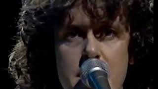 Donovan In Concert 1981 Rare Performance [upl. by Ennaed]