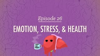 Emotion Stress and Health Crash Course Psychology 26 [upl. by Beard451]