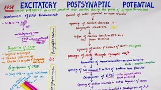 Excitatory Post Synaptic Potential EPSP  Easy Flowchart  Physiology [upl. by Anner22]