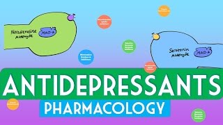 Antidepressants Pharmacology  Soton Brain Hub [upl. by Alodie]