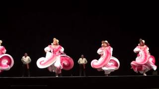 Danzantes Unidos Festival 2016  Colima  Jarabe de Colima [upl. by Bound]