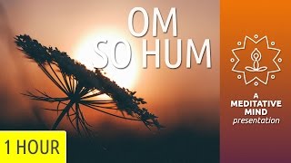 Om So Hum  Mantra Meditation [upl. by Asaert88]