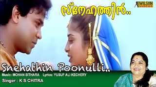 Snehathin Poonulli Poojichu Njan  HD  Deepasthambham Mahascharyam Song  REMASTERED AUDIO [upl. by Ynaffik250]