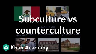 Subculture vs counterculture  Society and Culture  MCAT  Khan Academy [upl. by Sivel]