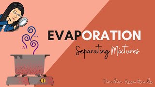 What is EVAPORATION I SEPARATING MIXTURES I CODE S6MTIdf2 I Teacher Essentials [upl. by Vally]