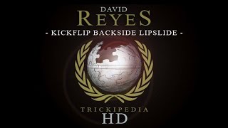 David Reyes Trickipedia  Kickflip Backside Lipslide [upl. by Hosea]