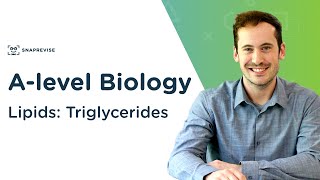 Lipids Triglycerides  Alevel Biology  OCR AQA Edexcel [upl. by Ellehsyt871]