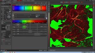 Leica Confocal Video Manual [upl. by Giule551]