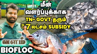 ஏழு தொட்டி போதும் 4 லட்ச மீன் குஞ்சுகளை வளர்க்கலாம்  Bio Floc Farming  Fish Farming  IBC Tamil [upl. by Jeane203]