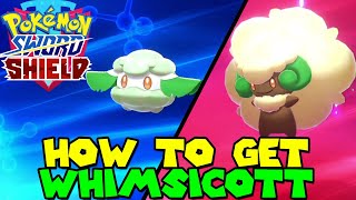 How to evolve COTTONEE to WHIMSICOTT in Pokemon Sword amp Shield [upl. by Renckens]