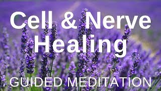 Guided HEAL Meditation  Cell and Nerve Healing Self Healing Meditation [upl. by Kotick]