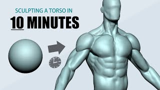 Sculpting a Torso using ZBrush in 10 minutes [upl. by Chiou]