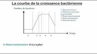 La croissance bactérienne [upl. by Nilhtac]