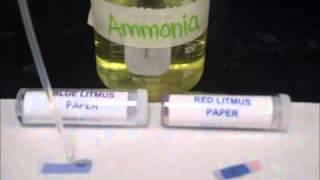 Testing Acids amp Bases on Litmus Paper [upl. by Ecnerol]