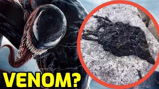 The REAL Venom Symbiote Explained [upl. by Erait]