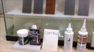 Best of the Best Gun Lube Corrosion Test  Part 2 [upl. by Amapuna]