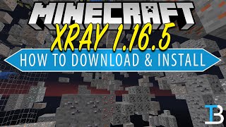 XRay Texture Pack 1165  How to Get XRay in Minecraft 1165 [upl. by Einehpets]