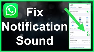 How To Fix WhatsApp Notification Sound EASY [upl. by Grenville854]