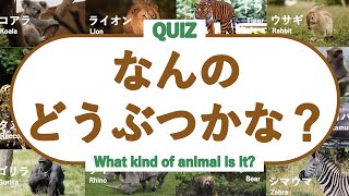 【言葉を覚える】 なんの動物かな？クイズ レベル１ （どうぶつの名前を覚えよう！） ◉animals ◉知育 ◉ことば ◉幼児向けアニメ ◉Learn Japanese [upl. by Curren551]