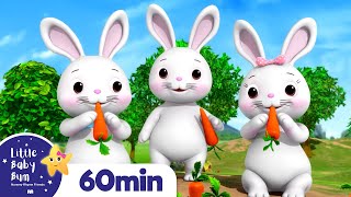 Bunnies Bunnies More Nursery Rhymes and Kids Songs  Little Baby Bum [upl. by Lerraj632]