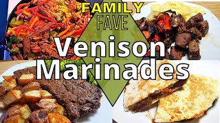 4 Favorite VENISON Marinades  How to MARINATE Deer Meat  The Best wild game recipes [upl. by Winna248]