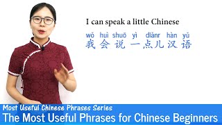 The Most Useful Phrases for Chinese Beginners  MUP 01  Mandarin Lessons [upl. by Xerxes454]