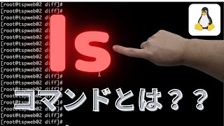 【Linux業務経験者が解説】Linuxの「ls」コマンドとは？ [upl. by Schwing575]