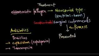 Pseudomonas aeruginosa treatment [upl. by Enra]