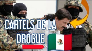 REPORTAGE CHOC  LES CARTELS DE DROGUE AU MEXIQUE [upl. by Ennovad]