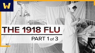 The 1918 Spanish Flu—A Conspiracy of Silence  Part 1 of 3 [upl. by Burkle]