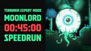 Terraria  Expert Mode Speedrun Moonlord in 45 minutes Seeded ANY RTA [upl. by Orodoet74]