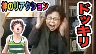 犬のゲージからいきなり人が飛び出してくるドッキリ【大絶叫】 [upl. by Moulden]