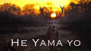 He Yama Yo  Lakota song [upl. by Bathelda]