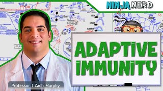 Immunology  Adaptive Immunity [upl. by Rochella311]