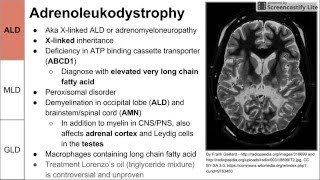 Leukodystrophies ALD MLD and GLD [upl. by Sulakcin]