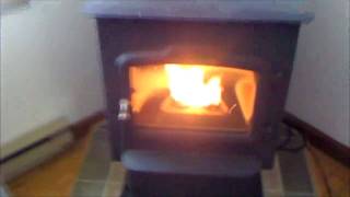 Burning Leaf Pellets in Pellet stove [upl. by Yendys]