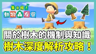 【集合啦！動物森友會】樹木深度解析攻略！關於樹木的機制與知識｜樹木生長階段、掉落素材機制｜動森攻略 [upl. by Garey347]