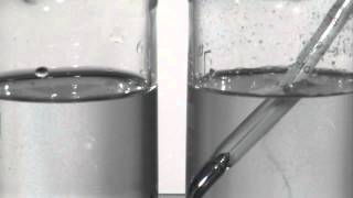 Reaction water NaCl MgCl2 [upl. by Kirkwood]