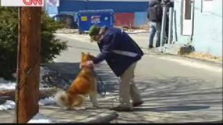 Hachiko A Dogs Story Behind The Scenes [upl. by Eittik552]