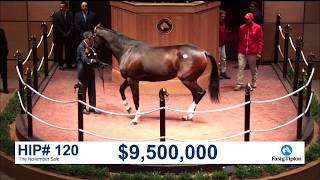 The November Sale 2017 SONGBIRD sells for 95M [upl. by Nagaem]