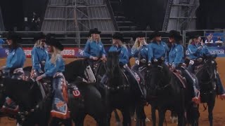 LIVE Houston 2023 Rodeo Coverage [upl. by Dyanna415]