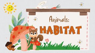 G1 Science Animals Habitat [upl. by Augustina]