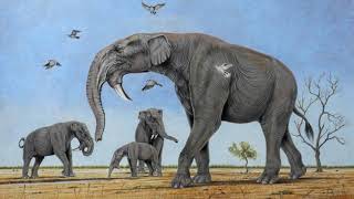 Early Proboscideans [upl. by Gibb]