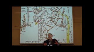 PHARMACOKINETICS Metabolism amp Excretion by Professor Fink [upl. by Sperling371]