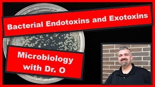 Bacterial Endotoxins and Exotoxins Microbiology [upl. by Armilla112]