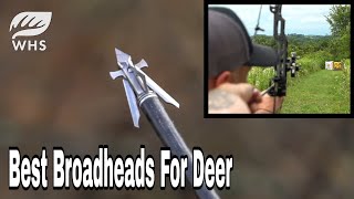 1 Broadhead For Deer Hunting [upl. by Lederer]