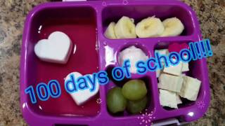 Week 22  What She Ate  School Lunches  Bento box style [upl. by Ahsonek977]