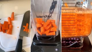 How to Chop Vegetables Small Fast in a Blender  Laura at Home [upl. by Leonore]