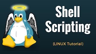 Shell Scripting Tutorial in Linux [upl. by Arraek]